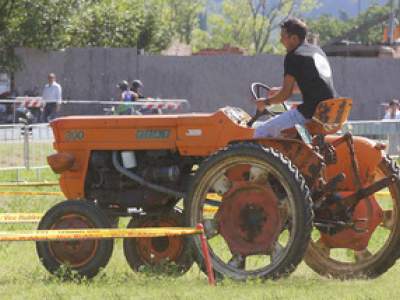 tractor-sdaz-2010-102