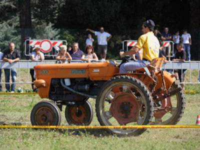 tractor-sdaz-2010-115
