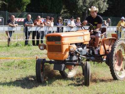tractor-sdaz-2010-140
