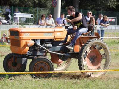 tractor-sdaz-2010-151