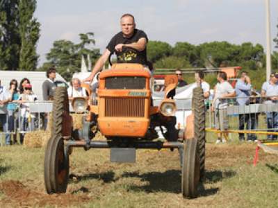 tractor-sdaz-2010-183