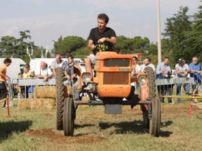 tractor-sdaz-2010-184
