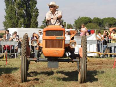 tractor-sdaz-2010-202