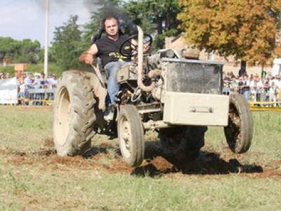 tractor-sdaz-2010-213