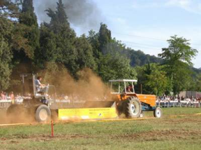 tractor-sdaz-2010-276