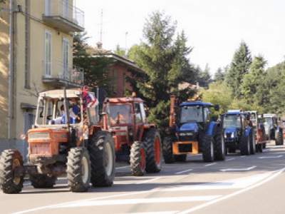 tractor-sdaz-2010-32