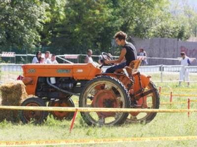 tractor-sdaz-2010-85