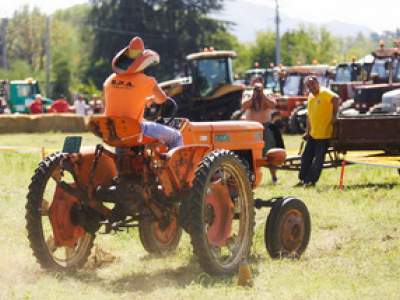 tractor-sdaz-2010-89